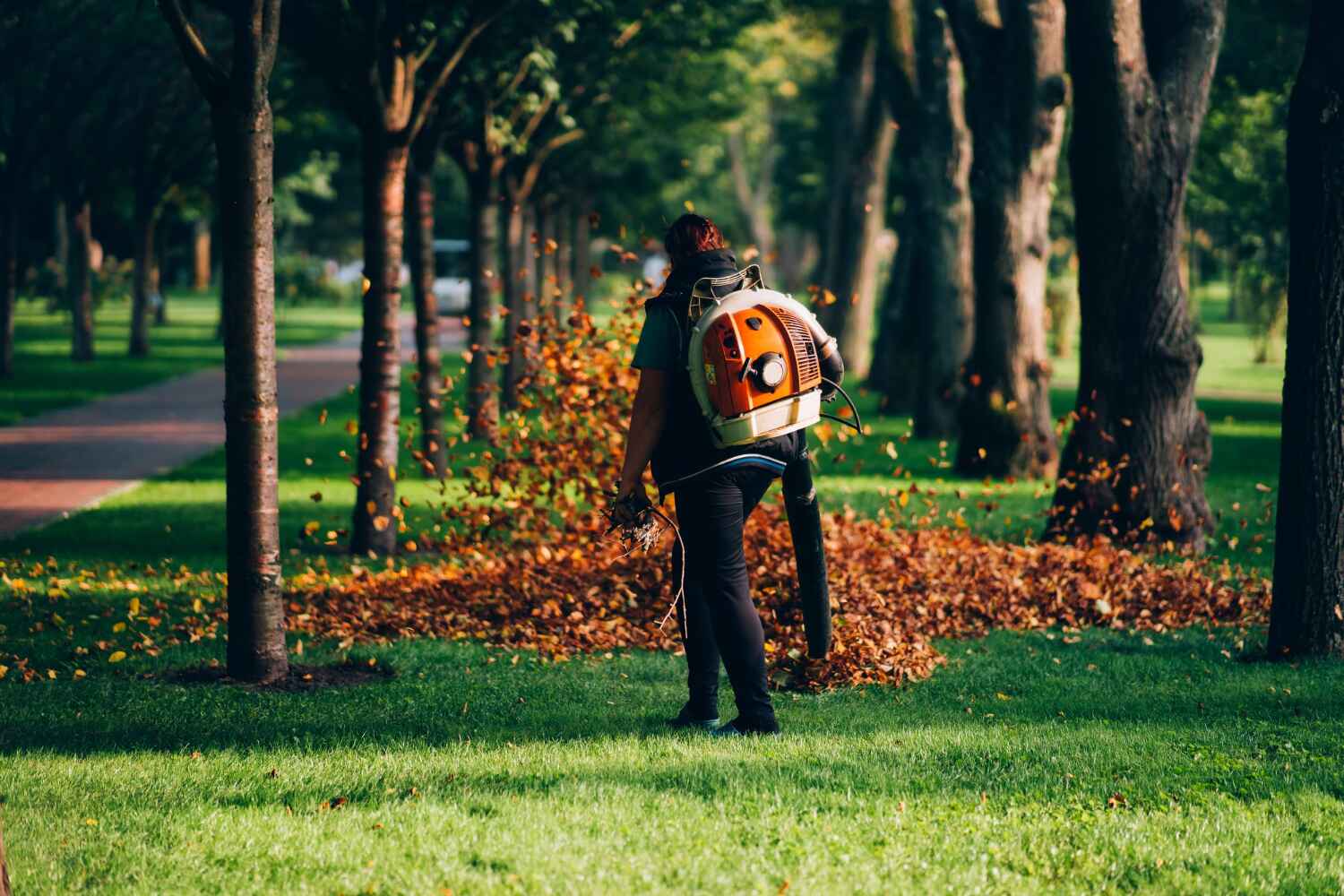 Best Professional Tree Care  in Zephyrhills, FL